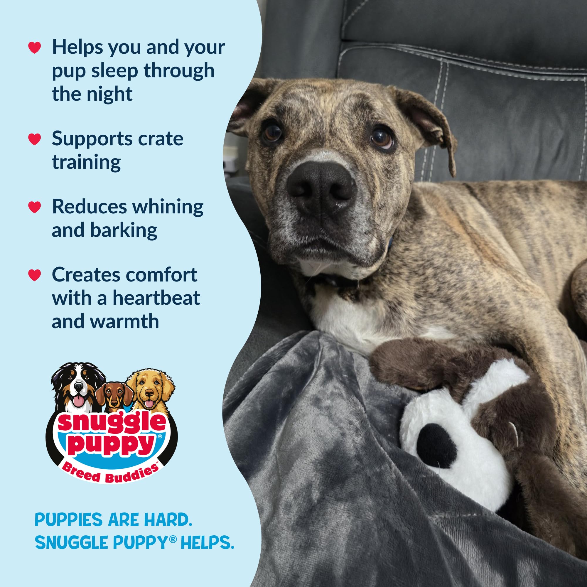 Snuggle Puppy Original - Peluche con Battito Cardiaco per Cani, Antistress e Calmante, Giocattolo di Conforto per l'Addestramento - Pitty