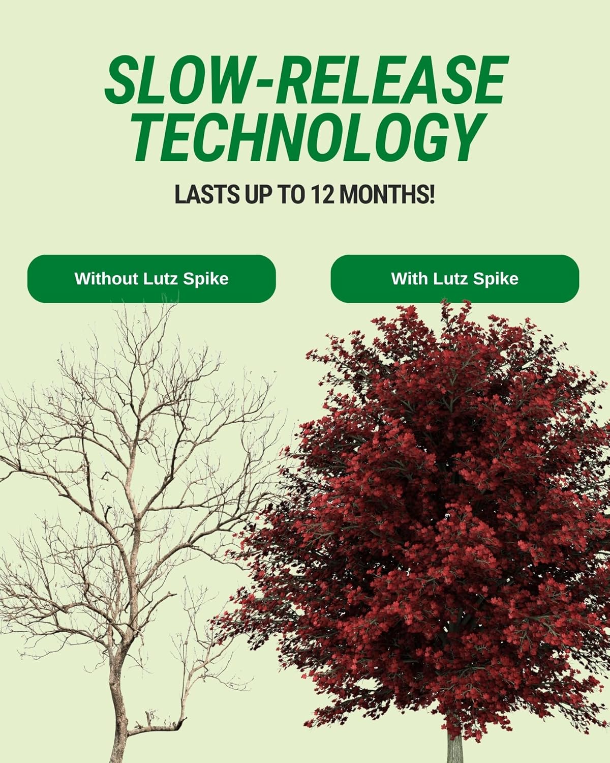 Maple-Birch Tree Fertilizer Spikes, 40 Pack - Plant Food Spikes & Sticks for Red Maple & River Birch Trees - Contains 16% Combined Sulfur, Manganese, and Nitrogen