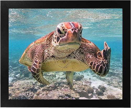 Miniatura 6 de Sea Turtle Swimming In Ocean - Sea Turtle Wall Print, Coastal And Nautical Theme Wall Decor Print Is Ideal For Home Decor, Lake House Decor, Office