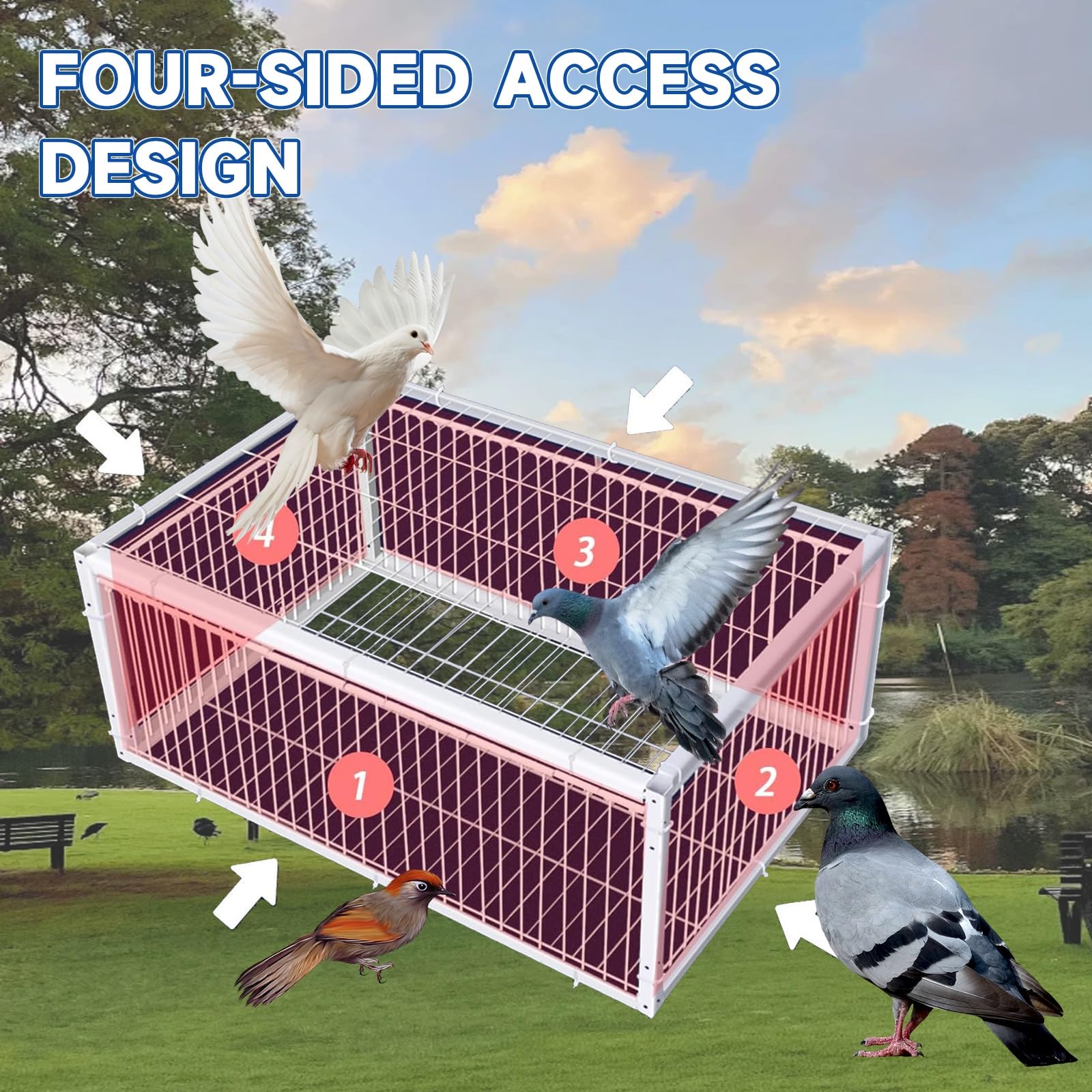 Montaje portátil al Aire Libre for Jaula de Palomas Trampa for pájaros con Entrada unidireccional, Trampa antiescape, portátil y fácilmente expandible(White,60 * 40cm)