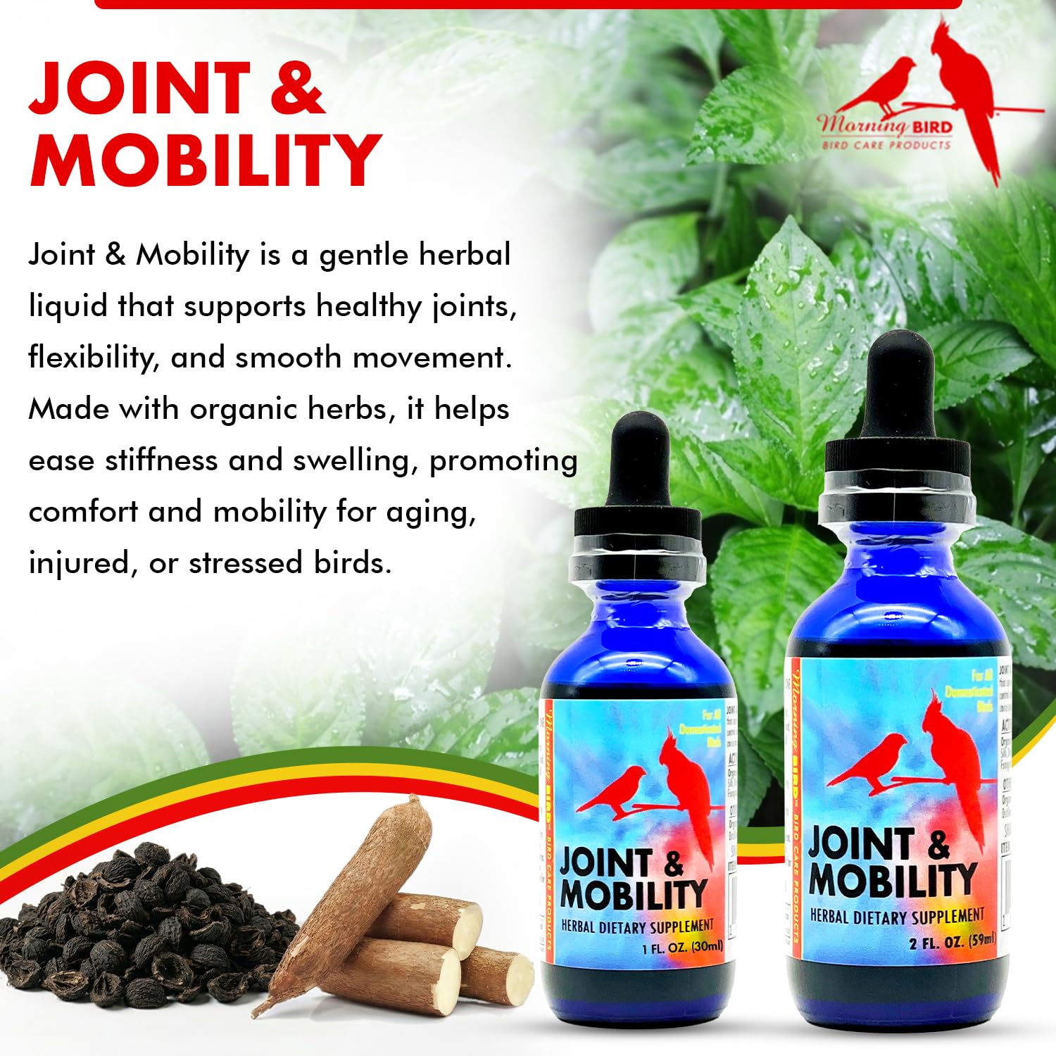 Morning Bird Joint & Mobility 2 fl oz – Herbal Liquid Supplement for Birds – Supports Joint Health, Muscle Comfort & Mobility – Ideal for Aging or Recovering Birds