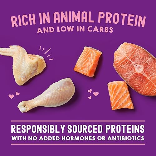 Miniatura 5 de Stella & Chewy's Carnivore Cravings Wet Cat Food Pouches  Grain Free, Protein Rich Meal, Topper or Treat  Chicken & Salmon Recipe (2.8 Ounce