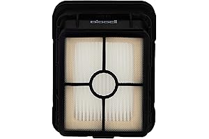 Bissell CrossWave Pet Pro: Replaceable, Washable Vacuum Filter for a Fresh Clean, 2 Pack