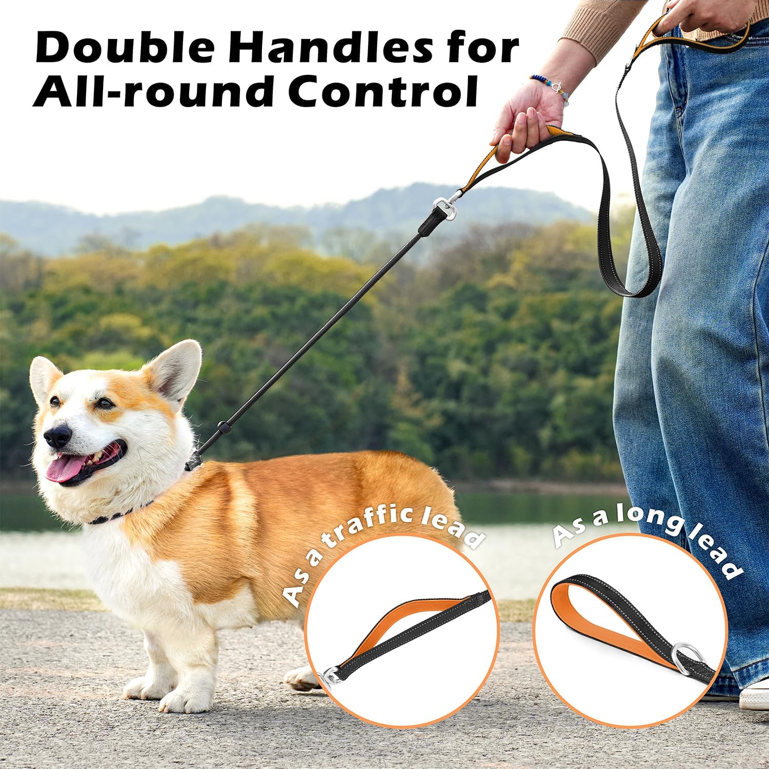 6フィート もつれ防止スリップリーシュ、引っ張り防止スリップリードと首輪 ダブルパッド入りハンドル付き、反射ナイロントレーニングリー