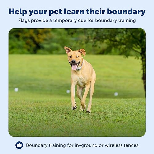 Vista 3 de PetSafe Boundary Flags (Bundle of 50), For Use with PetSafe's Dog and Cat In-Ground Fences and Wireless Fences - From the Parent Company of