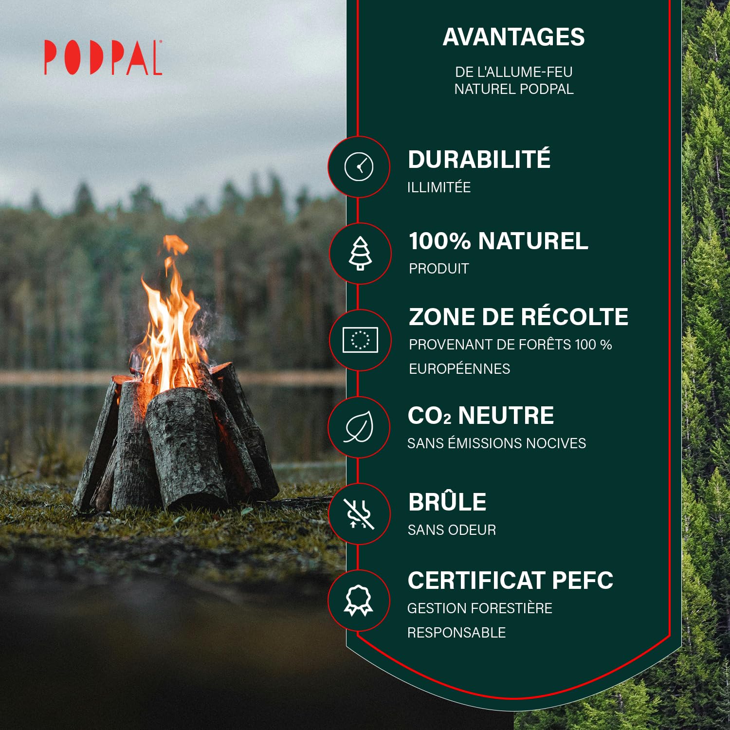 Allume-feu Naturels Laine de Bois Cire 200 Pièces Barbecue Cheminée Poêle à Bois