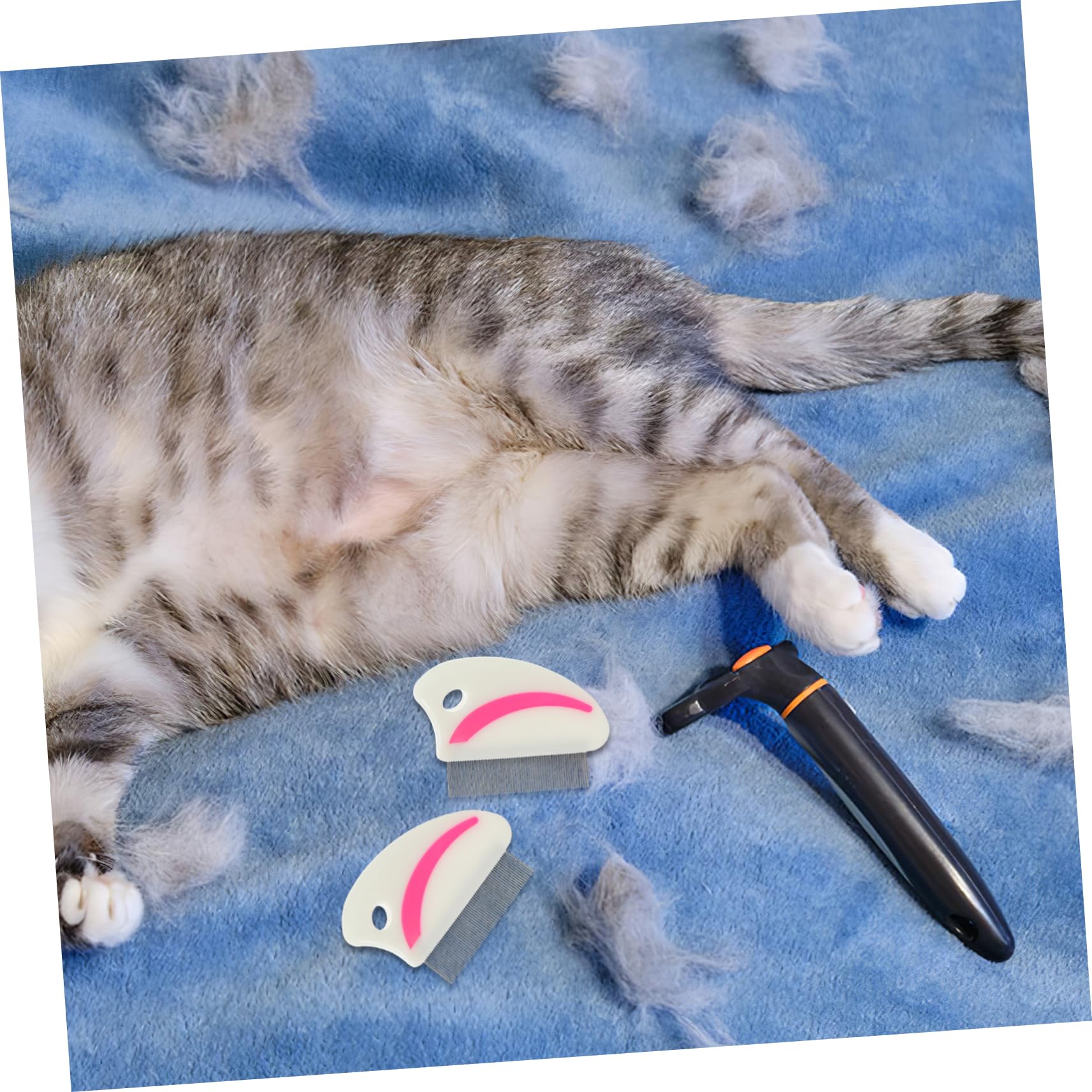 minkissy 12stücke Edelstahl Flohkamm Für Hunde Katzen Effektive Reinigungsbürste Zur Entfernung Von Schmutz Ergonomischer Griff Rot Grün Leicht Tragbar