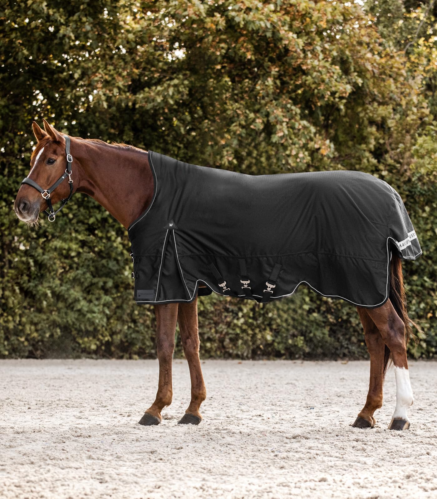 Waldhausen Coperta per esterni Scandic, collo alto, 200 g, nero, 135 cm