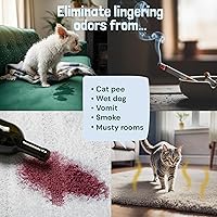 Vista 8 de Sunny & Honey Desodorante en polvo para alfombras, camas de mascotas y asientos de coche, eliminador de olores de bayas para orina de gato y olores