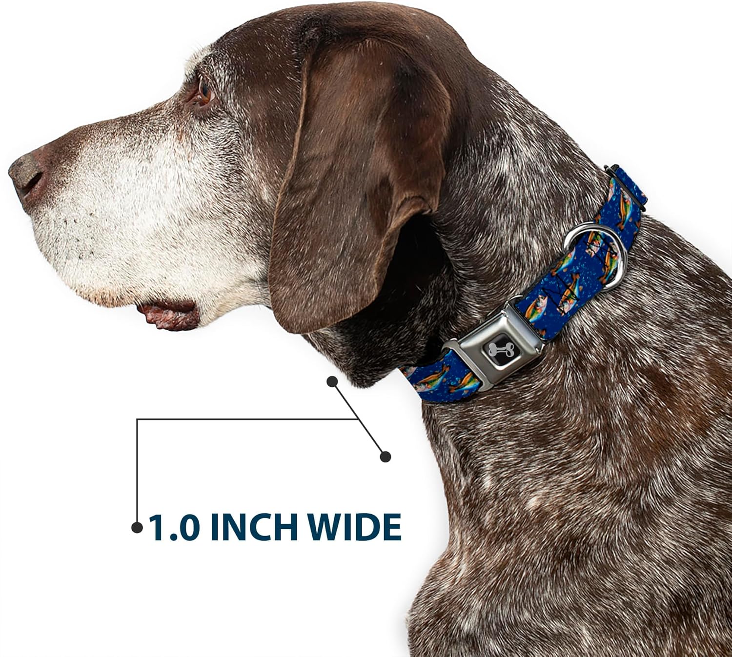 Buckle-Down 15-26" Bass Fish/Water Bubbles Dog Collar Bone