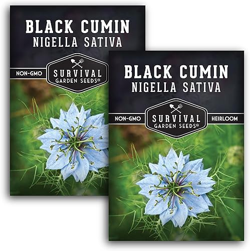 Semilla de comino negro para plantar, 2 paquetes con instrucciones para plantar y cultivar plantas beneficiosas de Nigella Sativa en el huerto de tu