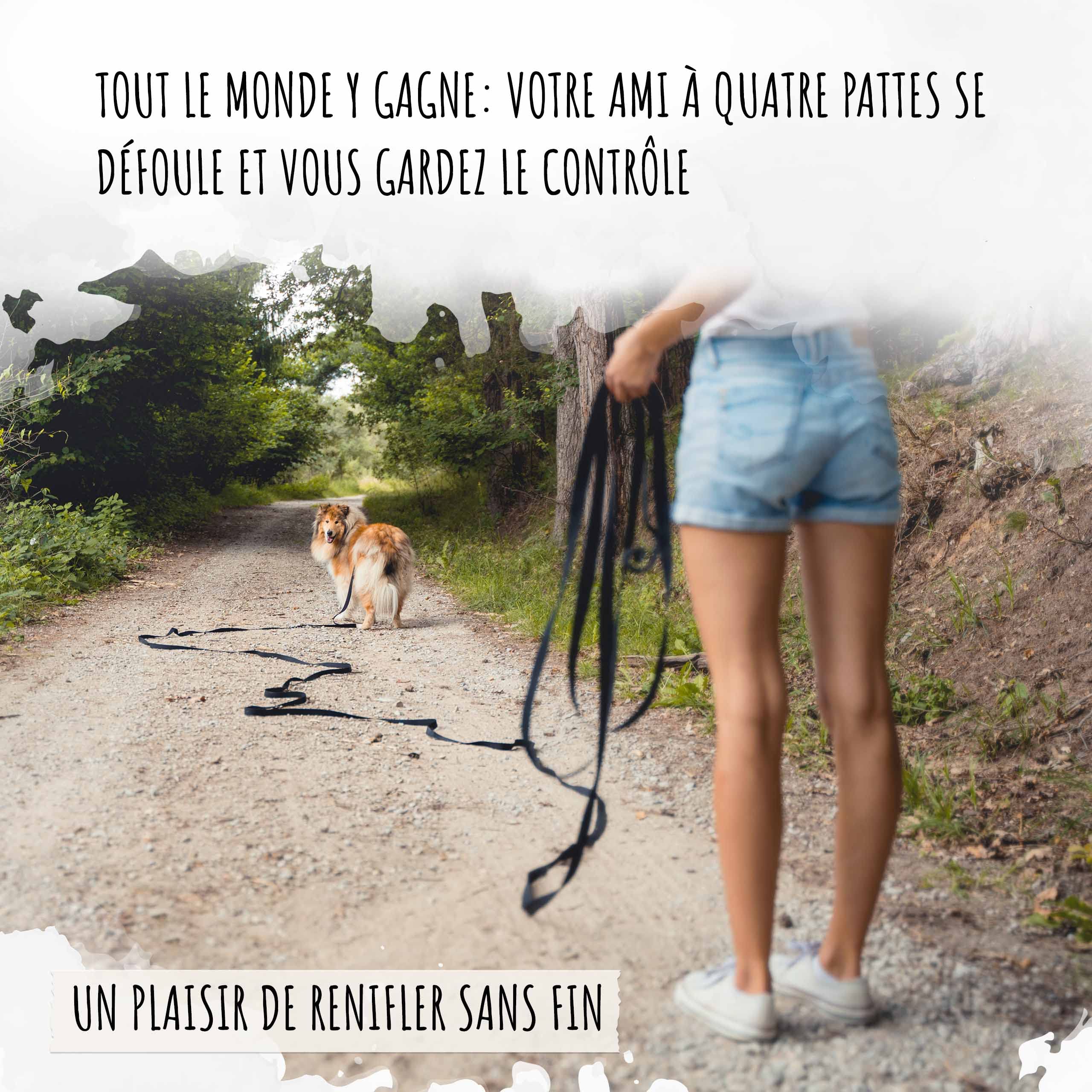 Rudelkönig Longe pour Chien 20m - Robuste et résistante aux intempéries - Longe avec poignée rembourrée - Laisse de Dressage pour Chien Pratique et Confortable