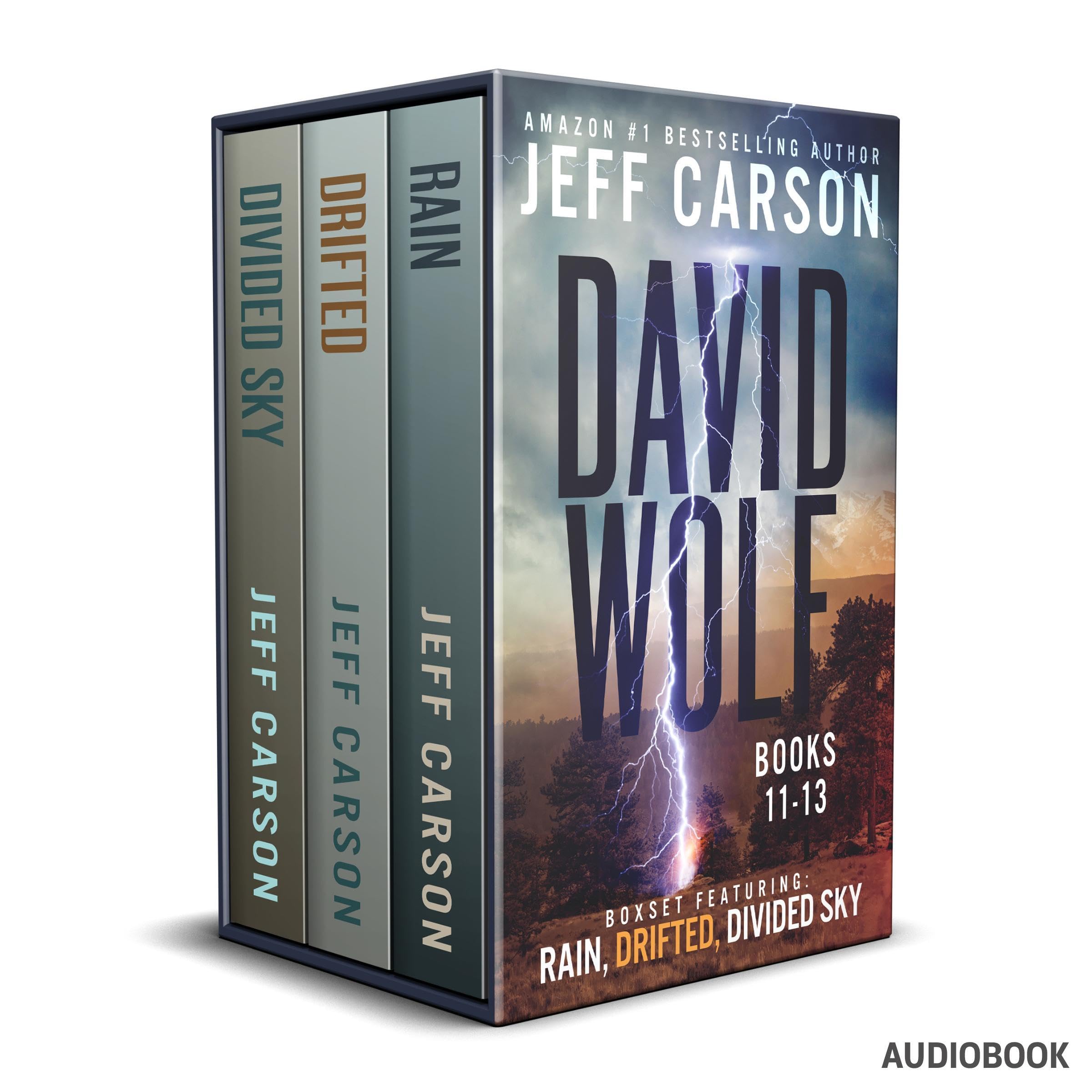The David Wolf Mystery Thriller Series: Books 11-13