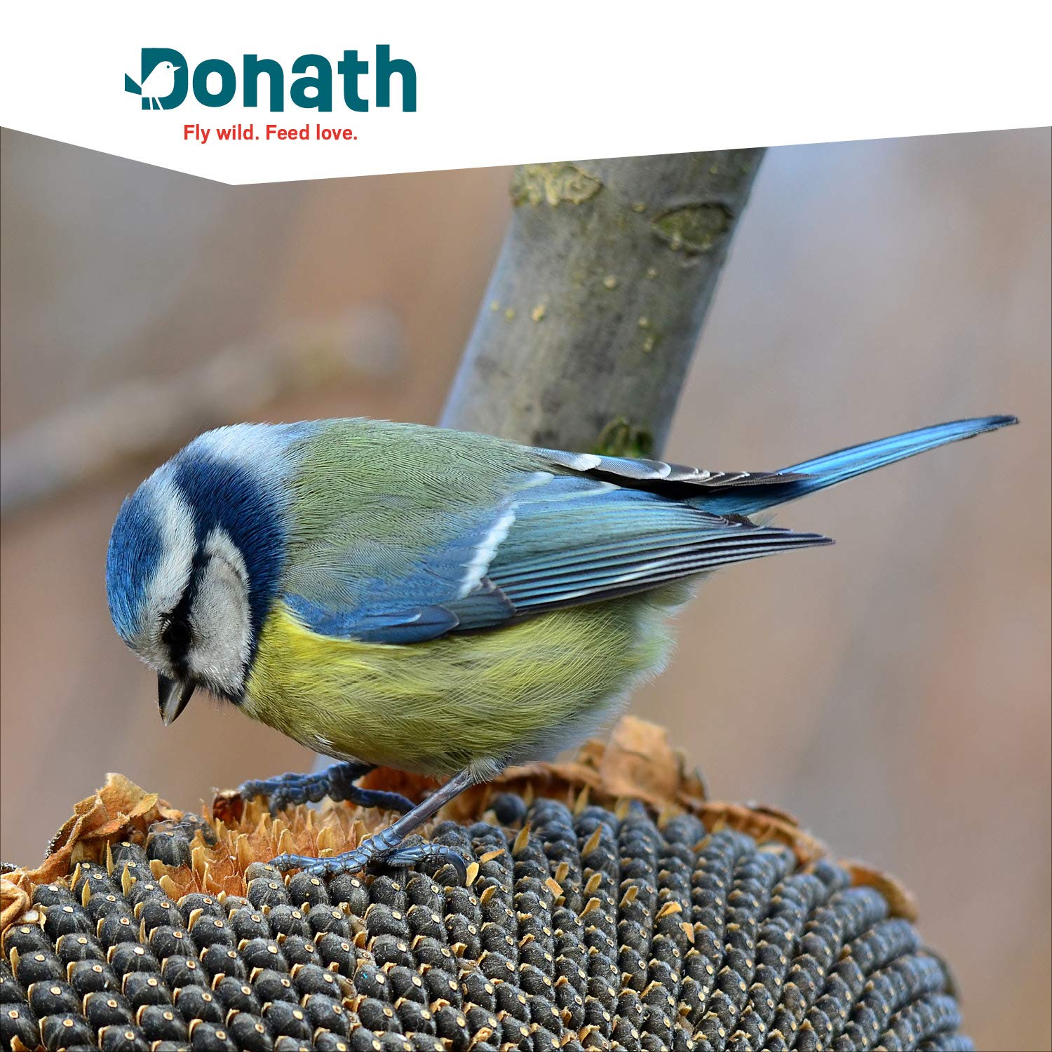 Donath Energie-Knödel Hanf im Bio-Netz - Meisenknödel im Bio-Netz - 100g je Knödel - Extraportion Hanfsamen - wertvolles Ganzjahres Wildvogelfutter - unsere Manufaktur in Süddeutschland - 6er Karton