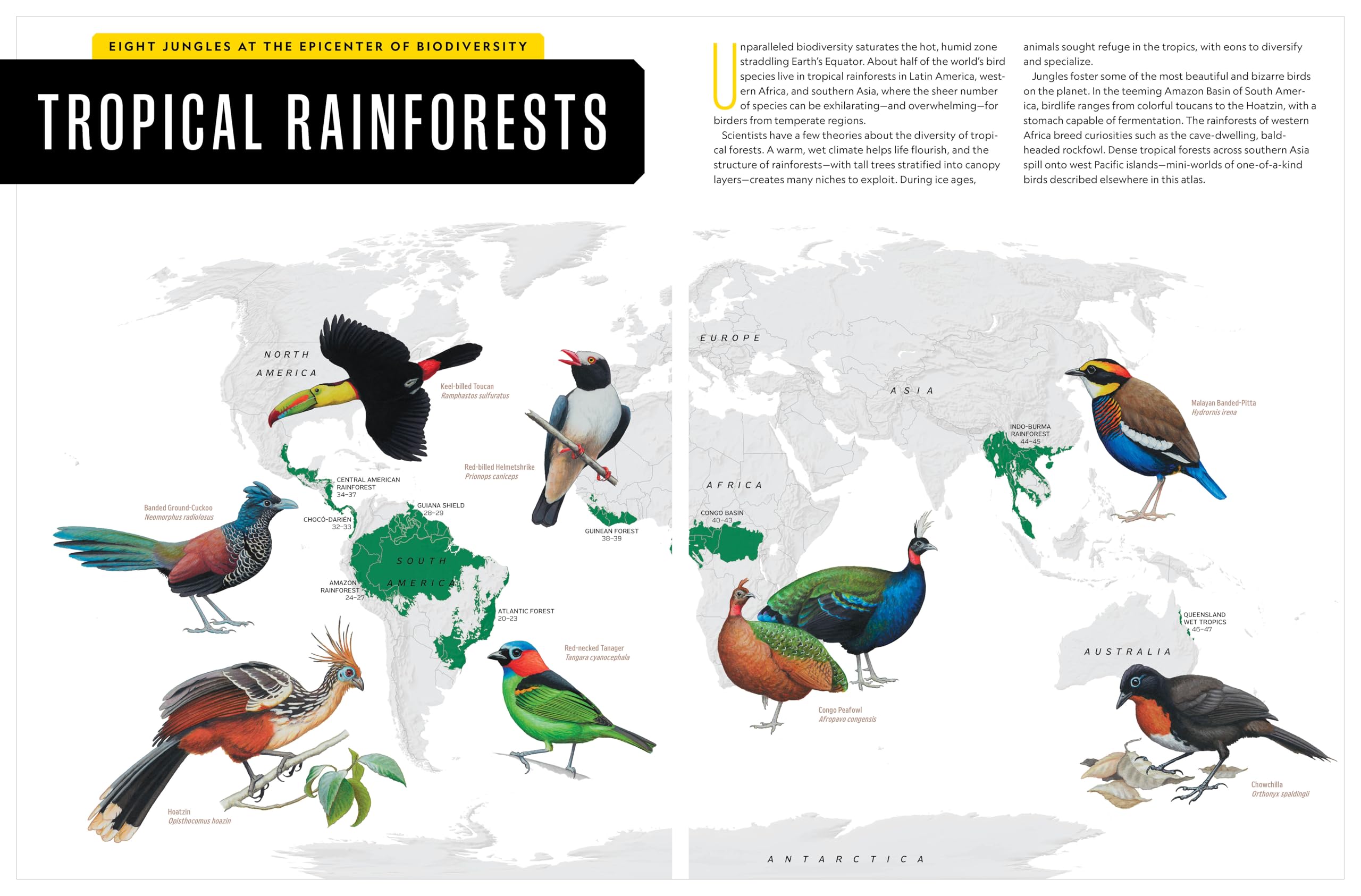 National Geographic Birder's Atlas of the World