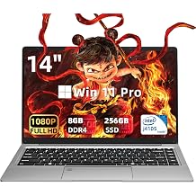 14 inch FHD Business Laptop, 8GB DDR4 RAM, 256GB SSD, Celeron J4125,Lightweight Portable Computer for Work, Study & Travel, Gray