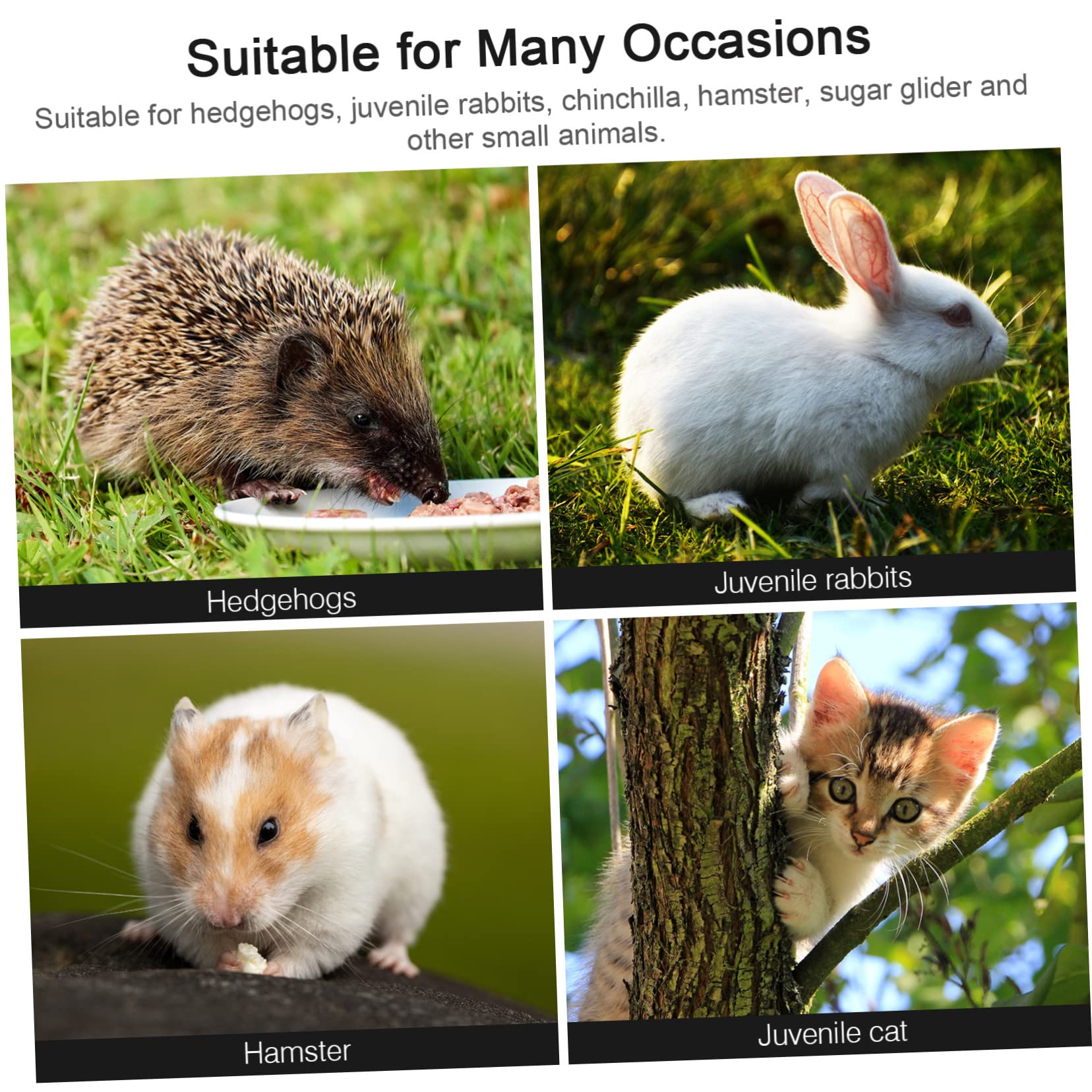 1satz Hamster Kauspielzeug Set Für Kleine Tiere Multifunktionale Rutsche Schaukel Und Nager-Spielzeug Zahnpflege Für Hamster Kaninchen Und Meerschweinchenpapierverpackung