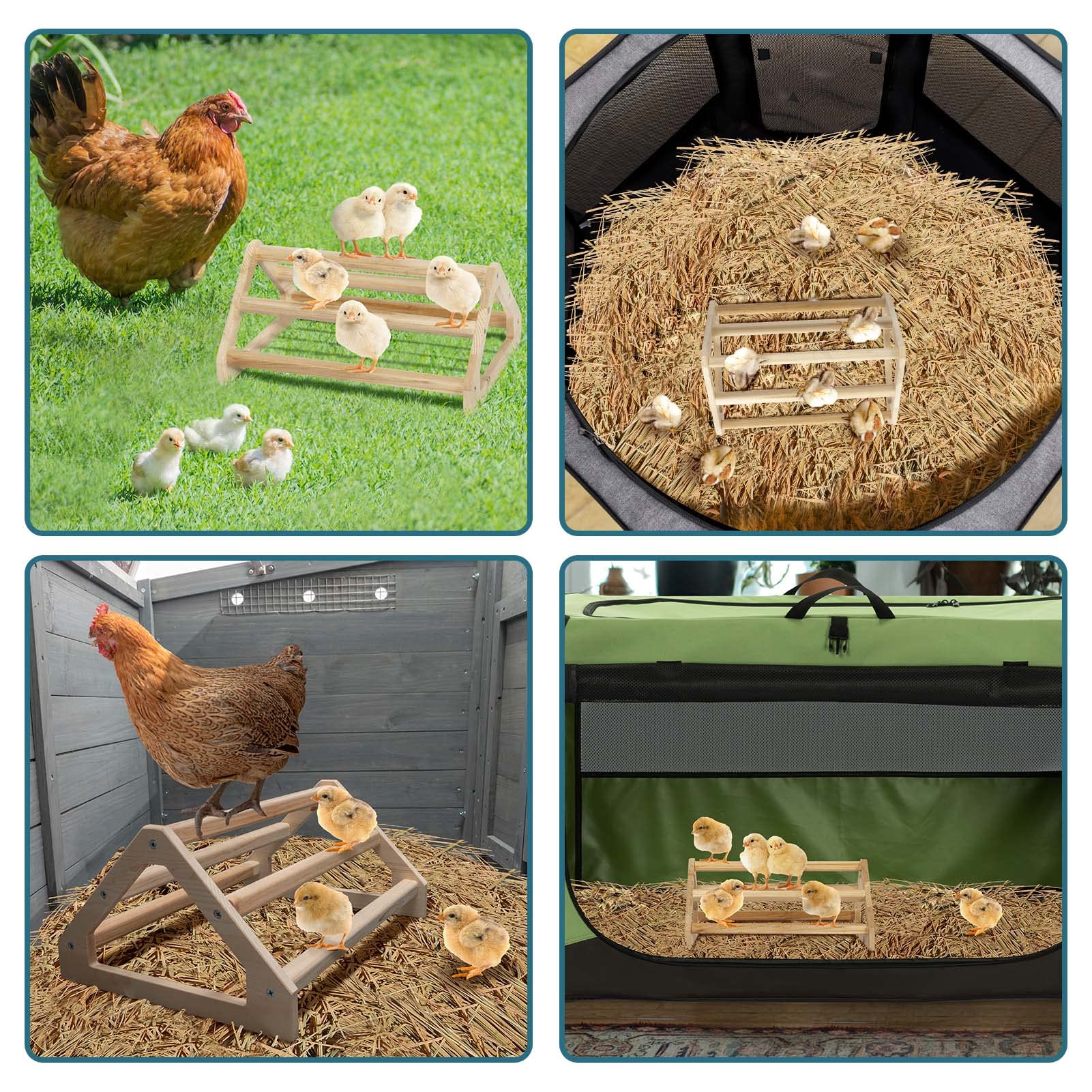 View 7