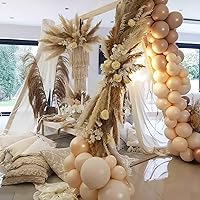Vista 425 de PartyWoo Nude Balloons 100pcs 12 Inch Apricot Boho Fall Neutral Latex Helium Balloons for Graduation Wedding Anniversary Birthday Boy Baby Shower