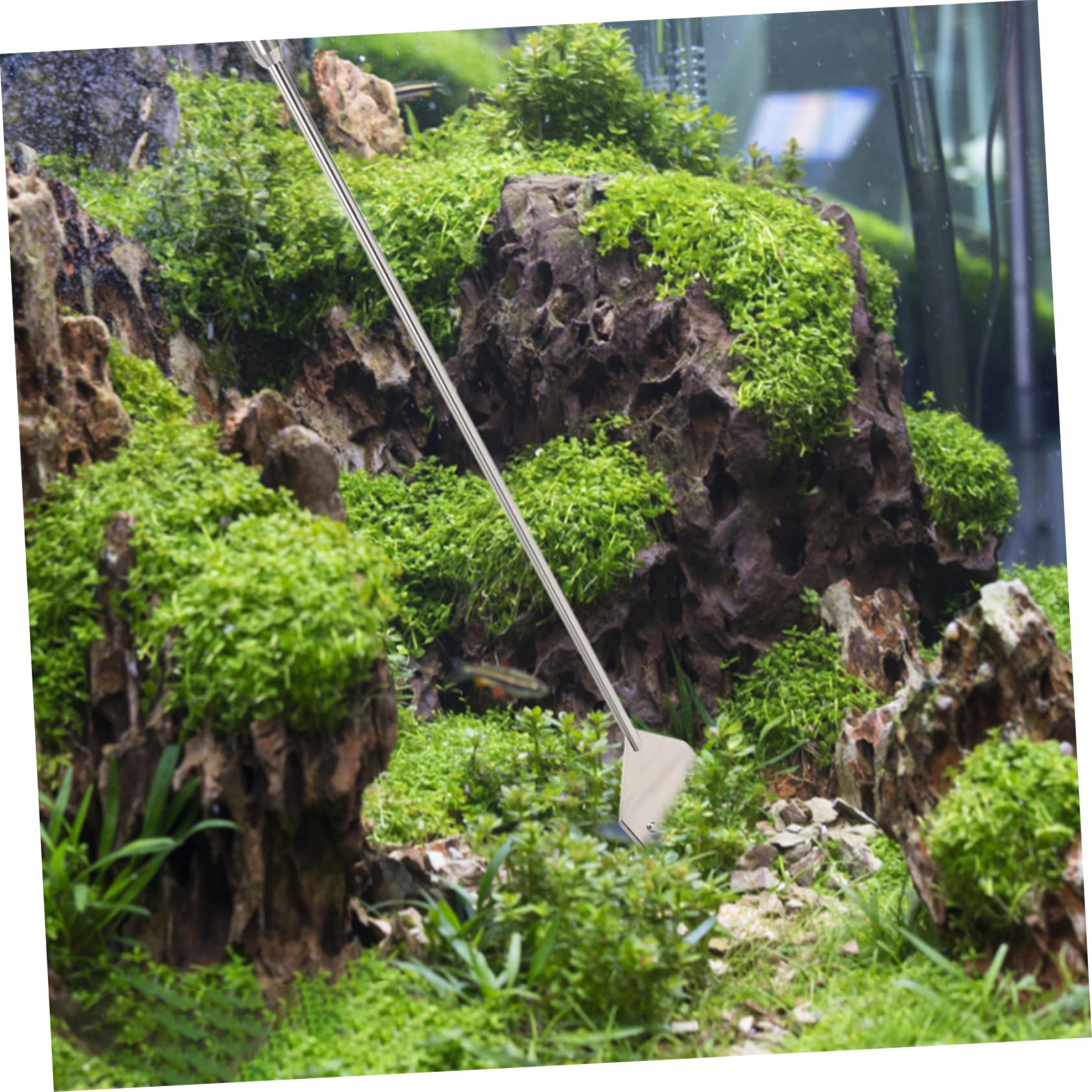 Kit de Limpieza para Peceras de Metal Plata para Acuario | Agua Salada, 1 Juego, Limpieza Acuario, Raspadores de Algas, Limpiador Pecera