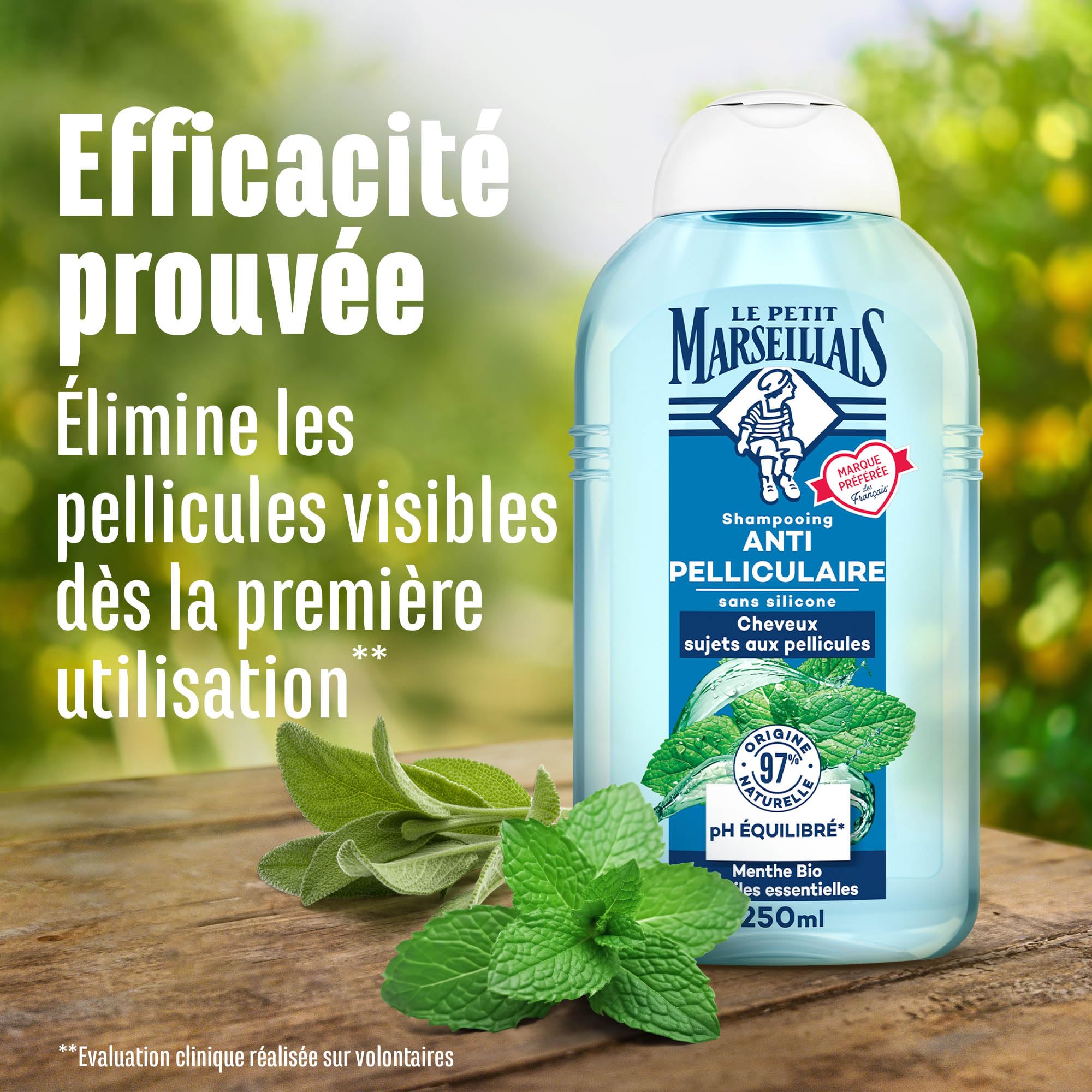 Le Petit Marseillais – Shampooing Anti-Pelliculaire Menthe Bio & Huiles Essentielles (flacon de 250 ml) – Shampoing sans silicone pour cheveux sujets aux pellicules – 97 % d'origine naturelle