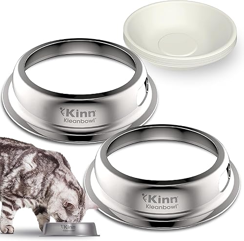 Miniatura 10 de Kinn Whisker Fatigue - Cuenco para gatos, compostable y desechable, 24 onzas (50 repuestos), cuenco de agua para gatos, apto para bigotes, para