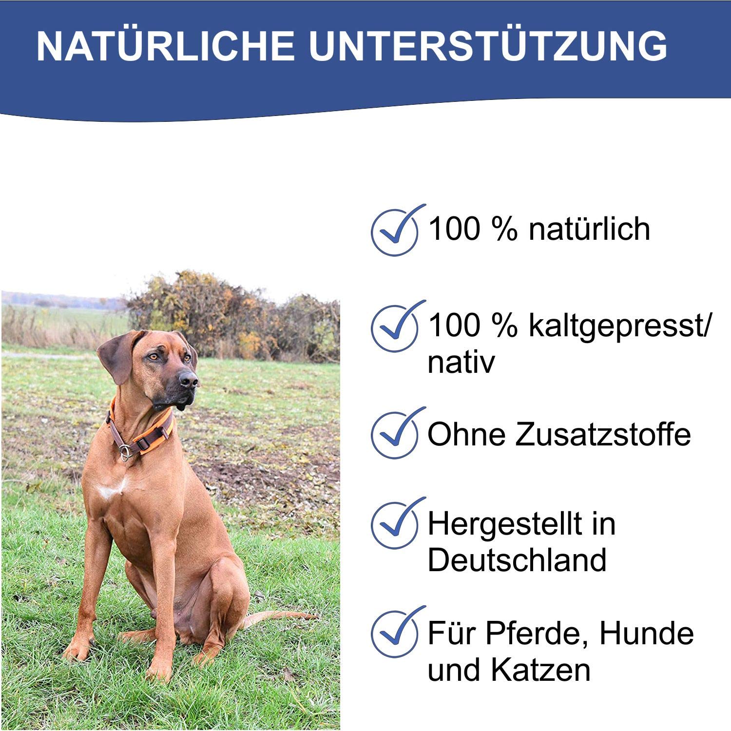 Leinöl für Pferde, Ponys, Hunde, Katzen- 2 x 5 Ltr. Kanister Premium100% ohne Zusätze garantiert und direkt aus erster Kaltpressung Reich an Omega-3 Fettsäuren