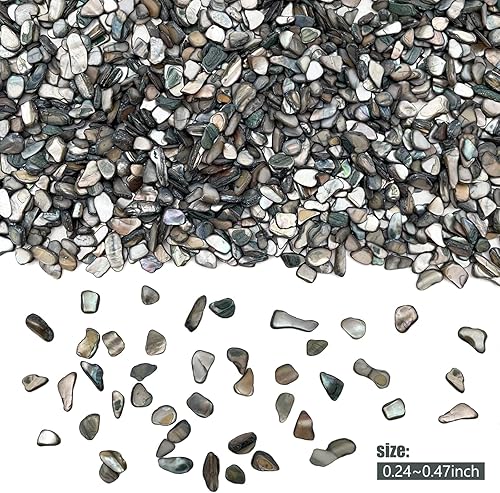 Miniatura 5 de Conchas trituradas para manualidades, conchas marinas para arte de bricolaje, rellenos de jarrón, dispersión de mesa, recuerdo de fiesta, decoración