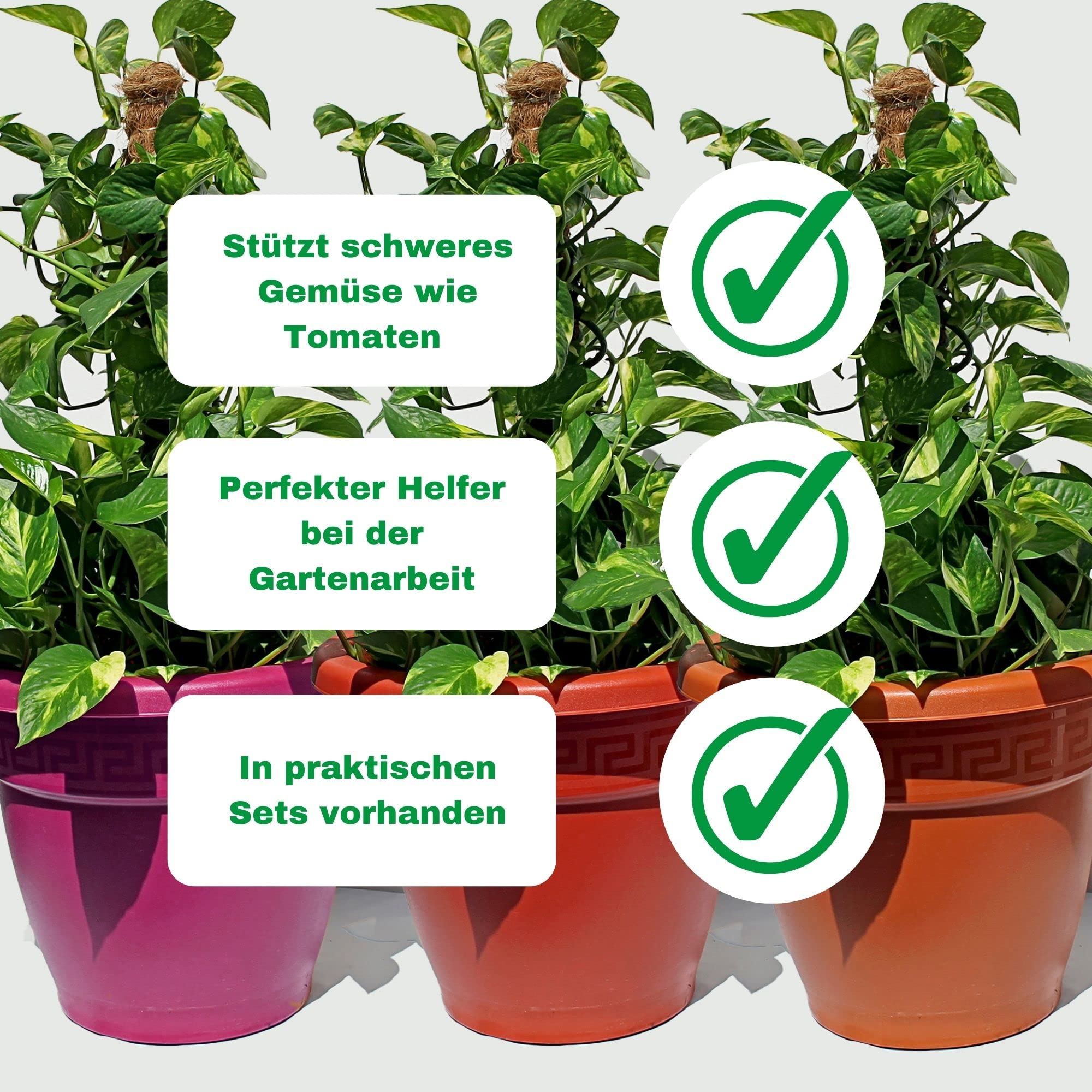 Novatool 4X Pflanzstäbe Kokos 60+110 cm I Ø 45mm I verlängerbar I natürlicher Kokosfaser I Rankhilfe Monstera deliciosa Moosstab Kokosstäbe
