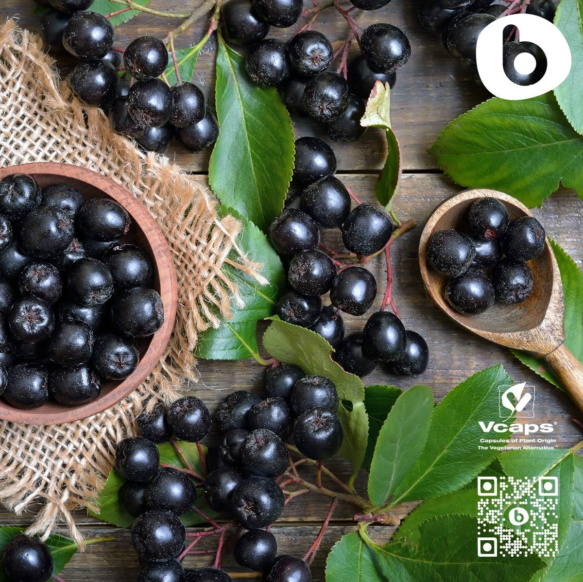 Organic Aronia Berry Capsules – Black Chokeberry Supplement with Natural Anthocyanins & Polyphenols – Supports Immune System – from Aronia Berries Powder – Non-GMO – 500mg, 90 Vegan Capsules - Image 6