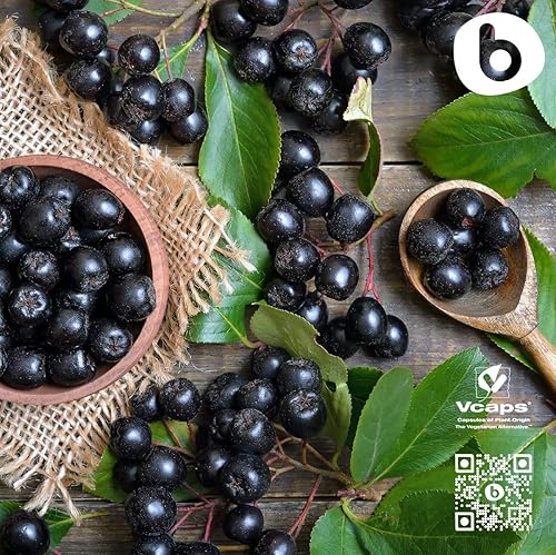 Miniatura 6 de Cápsulas orgánicas de bayas de Aronia – Suplemento de chokeberry negro con antocianinas y polifenoles naturales – Apoya el sistema inmunológico – de