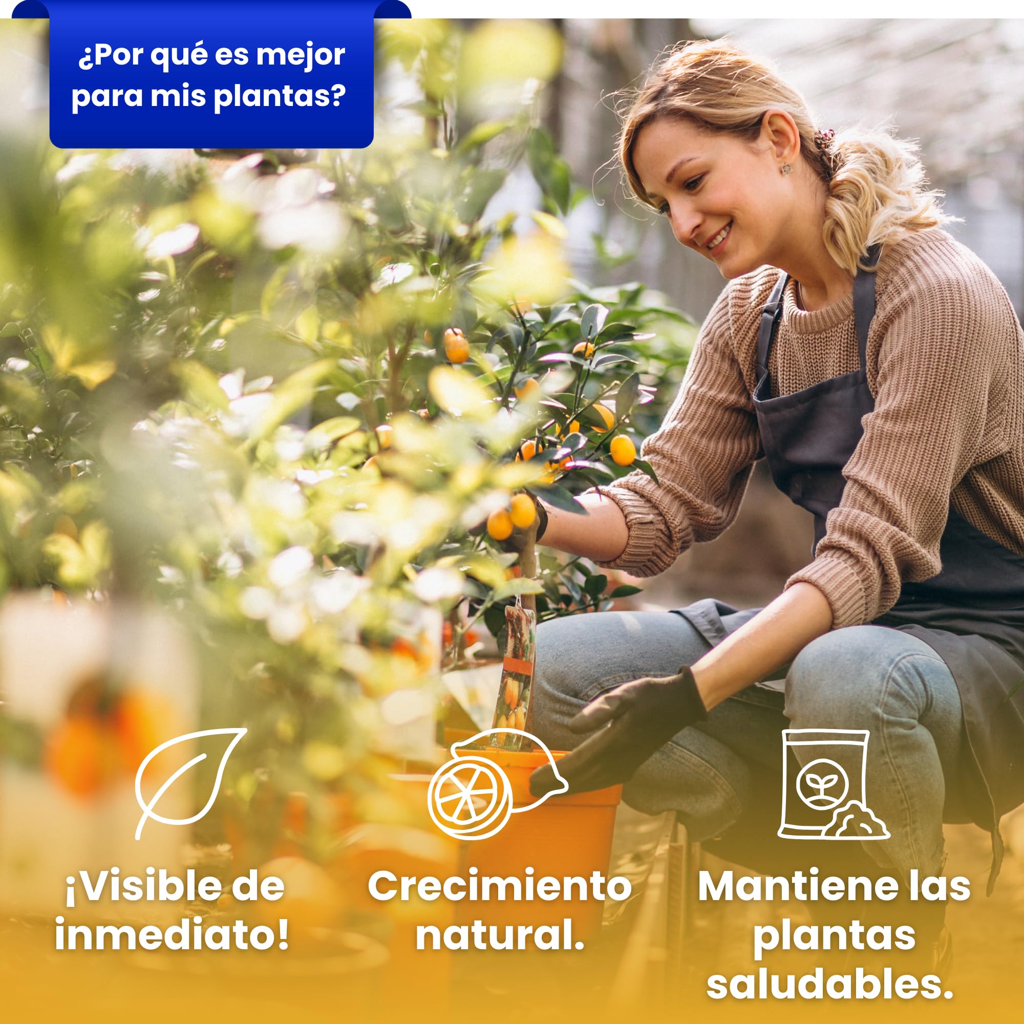LERAVA Abono cítricos (3,6 kg) - fertilizante natural de altramuces molidos para limonero y naranjo - ideal para mandarino, kumquat y pomelo - mejora crecimiento, vigor y follaje en plantas acidófilas