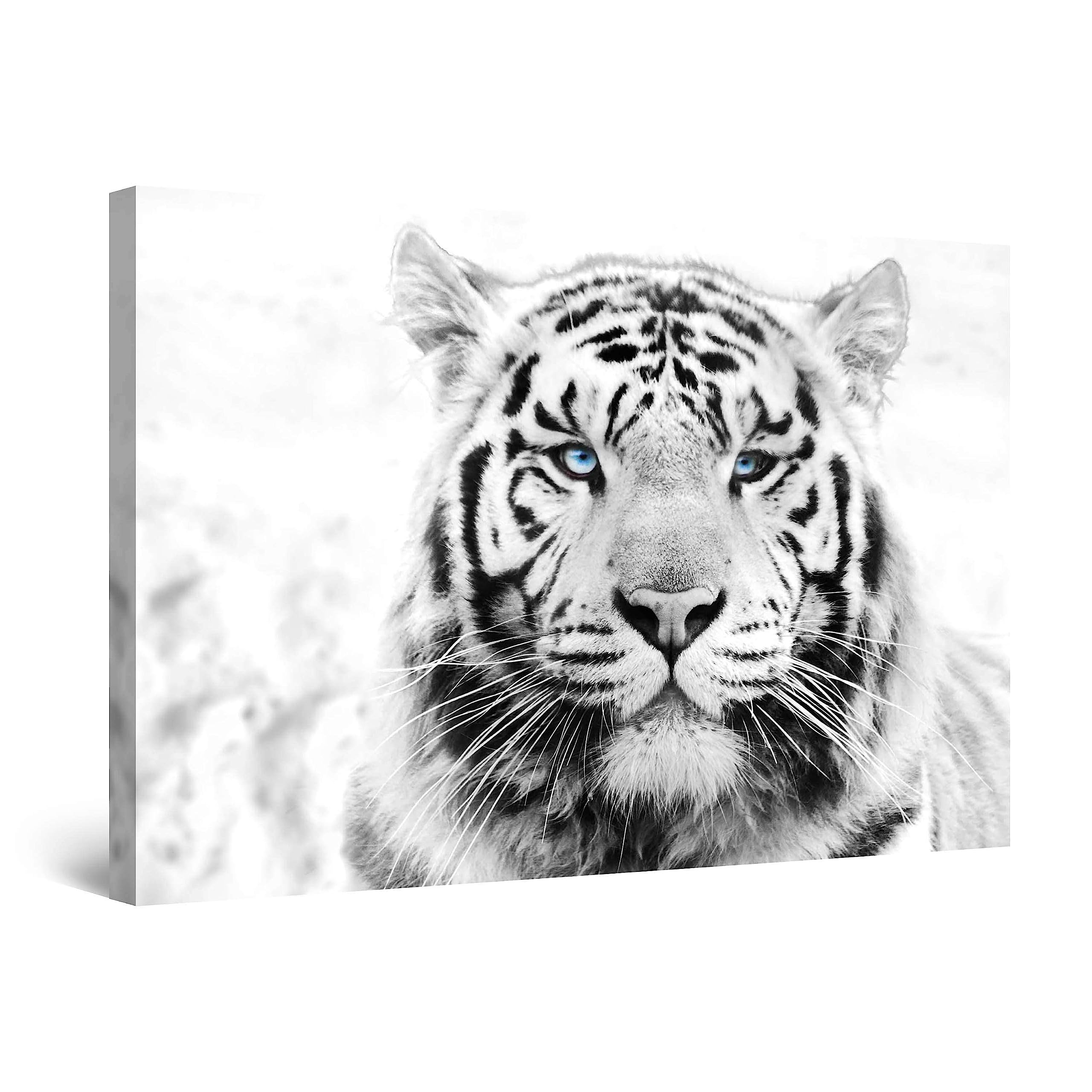 Startonight Luminous Wall Art Canvas Daydream Tiger, Animals Stretched Print, Modern for Bedroom or Living Room, Unique Luminous Artwork 60 cm x 90 cm Elegant Gift Idea