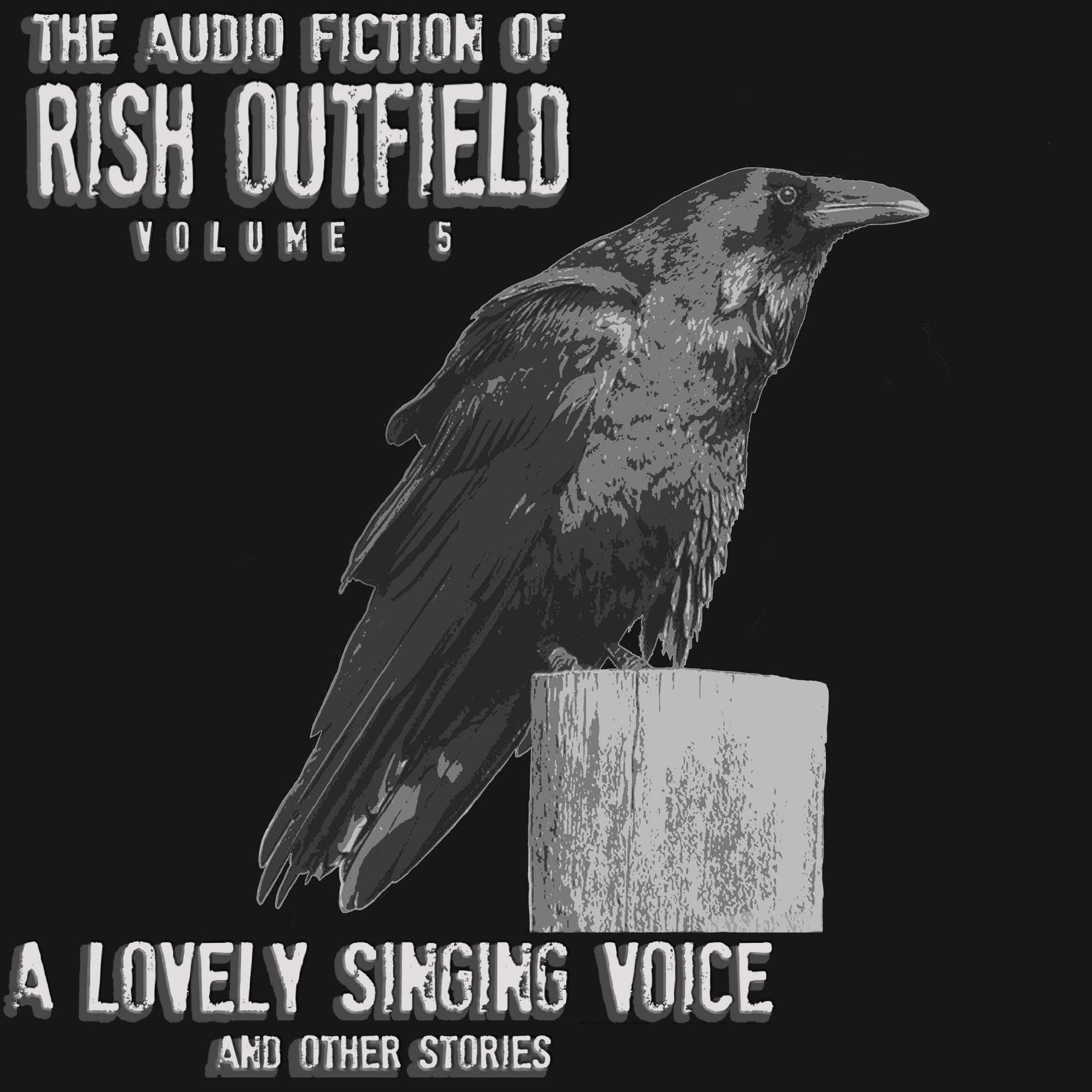 Cover art for A Lovely Singing Voice and Other Stories