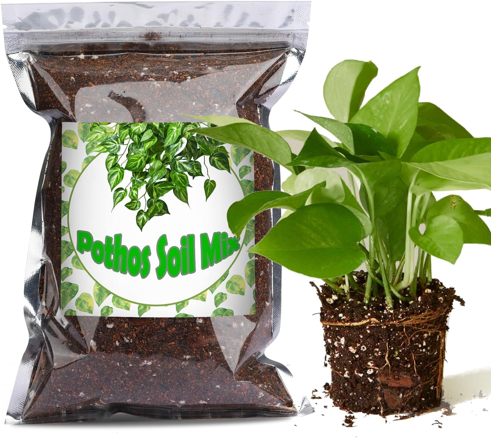 Doter 有機ポトス土壌ミックス1クォート、すべての鉢植えポトス用屋内植物培養土ミックス、屋内で健康的な観葉植物を育てる