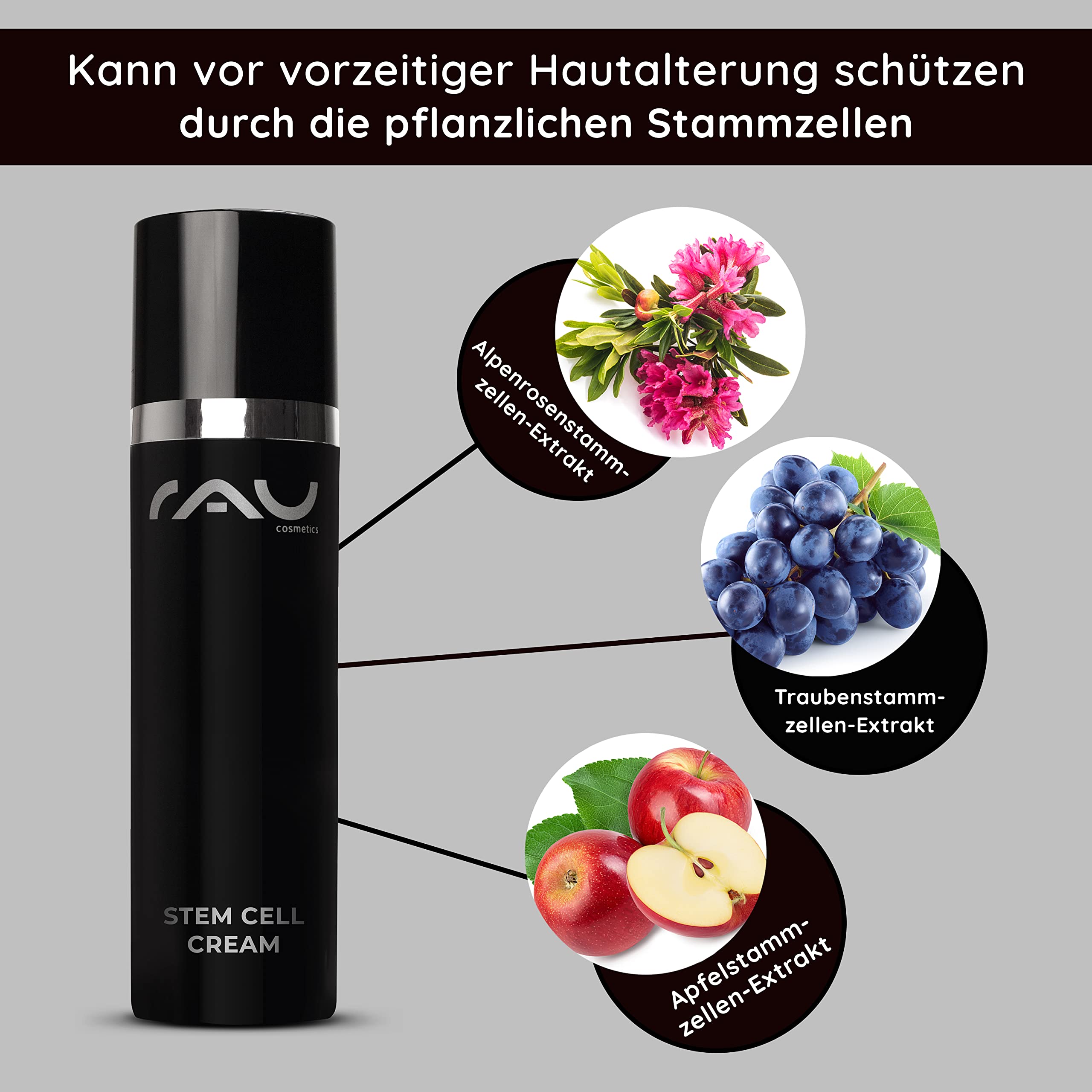 RAU Cosmetics Stem Cell Anti-Aging Tagescreme 50 ml - Vegane Gesichtspflege mit Hyaluronsäure, Argireline & Dreifach-Stammzellenkomplex - Feuchtigkeitscreme gegen Falten für reife & trockene Haut