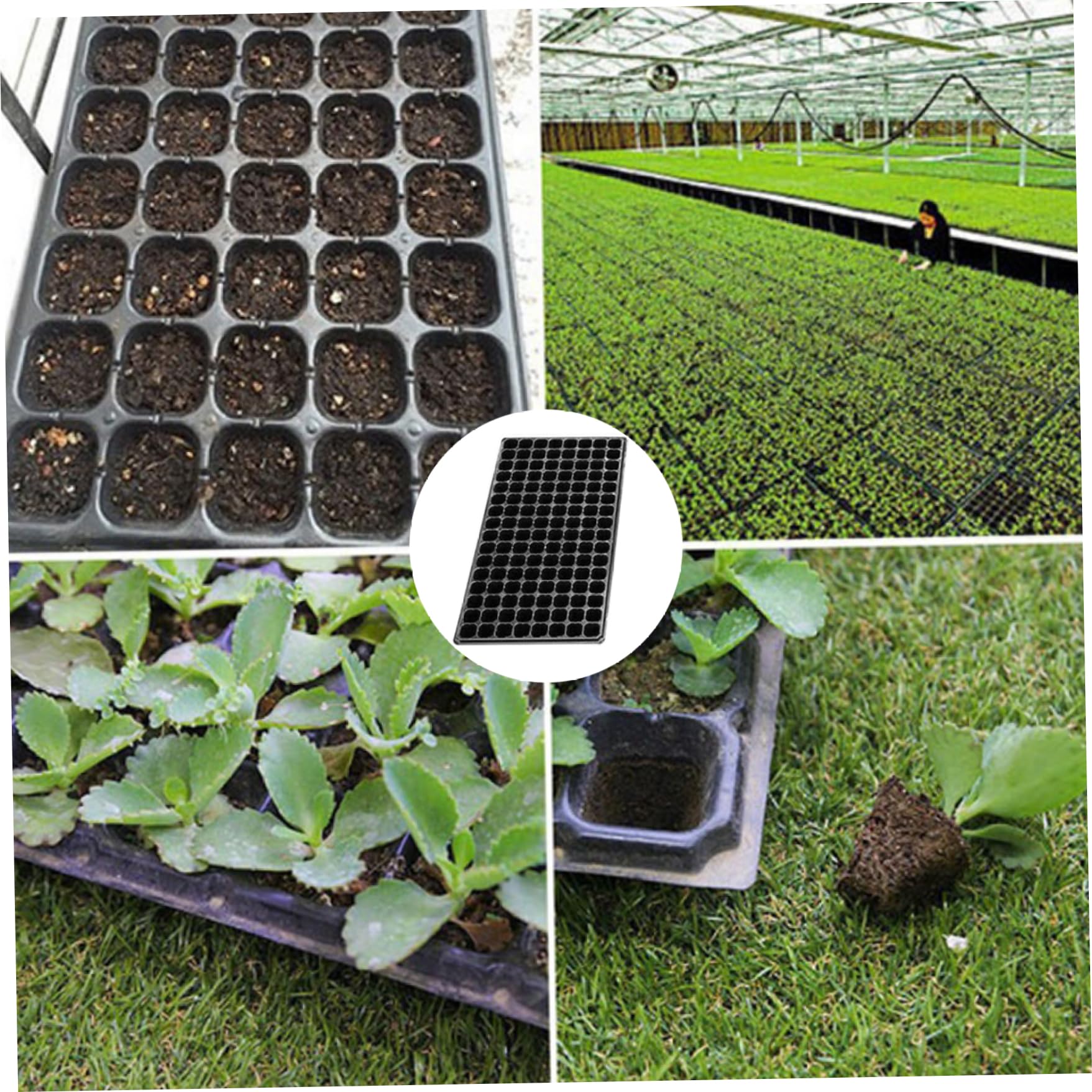 Mini Kit de Cultivo de Plantas propagadoras | Bandejas de Inicio de Semillas 128 células Bandejas de plántulas de germinación para Cultivo de Plantas de jardinería 10PCS