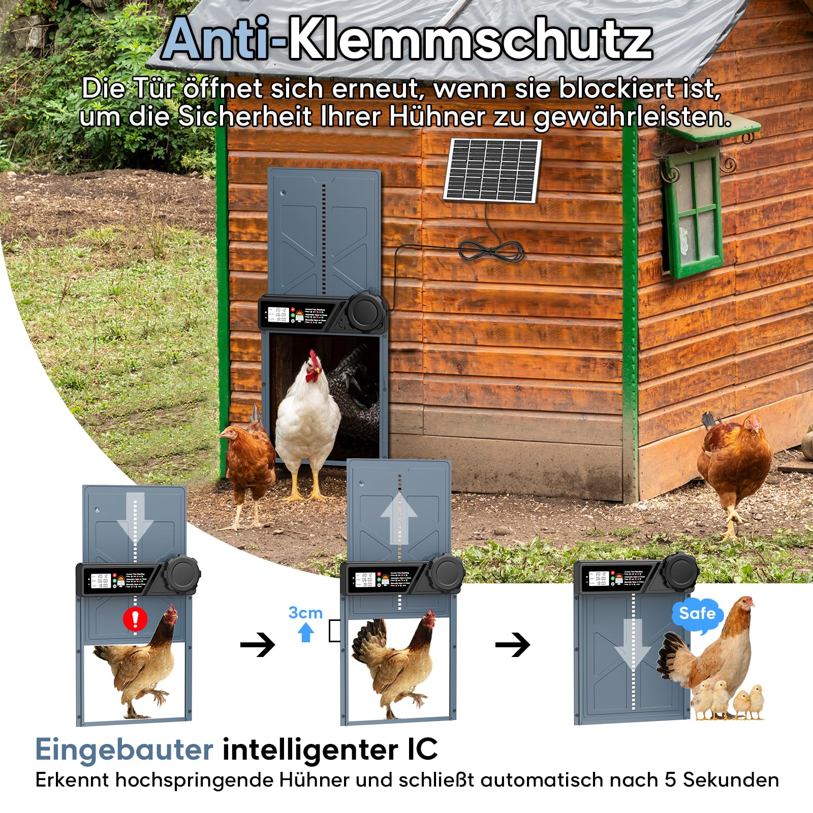 CHAMUTY Große Automatische Hühnerklappe Solar, Elektrische Hühnerklappe Automatisch mit Timer, 7W Solarpanel, LCD Display, Fernbedienung, Automatische Hühnerstalltür Hühnertür, Einklemmschutz