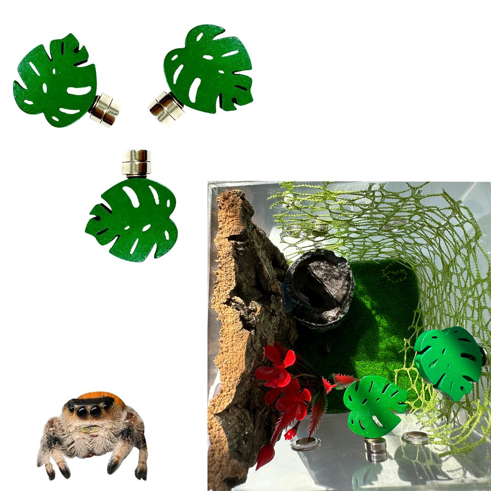 Okueejur 3 Pack Leaf-Shaped Jumping Spider Enclosure Ledges with Magnets for Spoods Jumping Spiders Decoraction Jumping Spider Accessories (Not Included The Jumping Spider Terrarium)