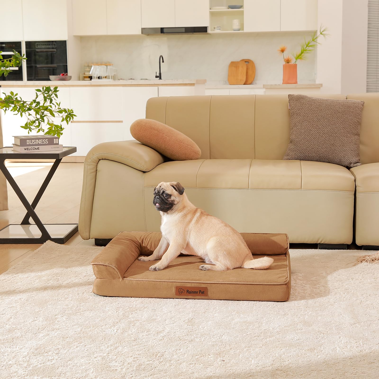Orthopedic Dog Bed Medium Size Dog, Memory Foam Dogs Bed for Medium Dogs, Washable and Removable Microsuede Cover, Waterproof Liner, Non-Skid Bottom, 30x20x6 Inches, Khaki - image 2