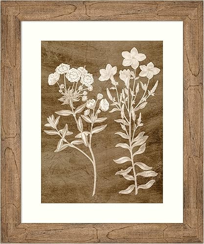 Miniatura 6 de Amanti Art Framed Wall Art Print (17x21) Botanical in Taupe I by Vision Studio Framed Poster for Wall Decor, Living Room, Bedroom, Bathroom,