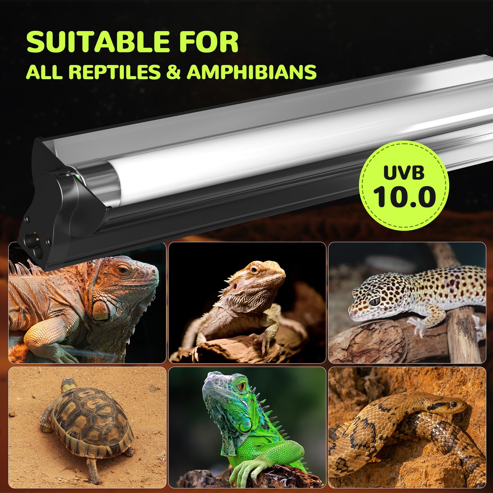 GlowUp T8 UVB UVA Light Reptile Kit - Image 2
