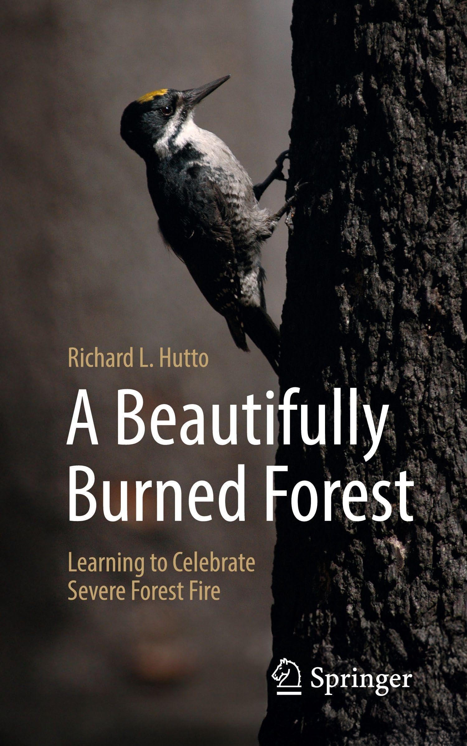 A Beautifully Burned Forest: Learning to Celebrate Severe Forest Fire
