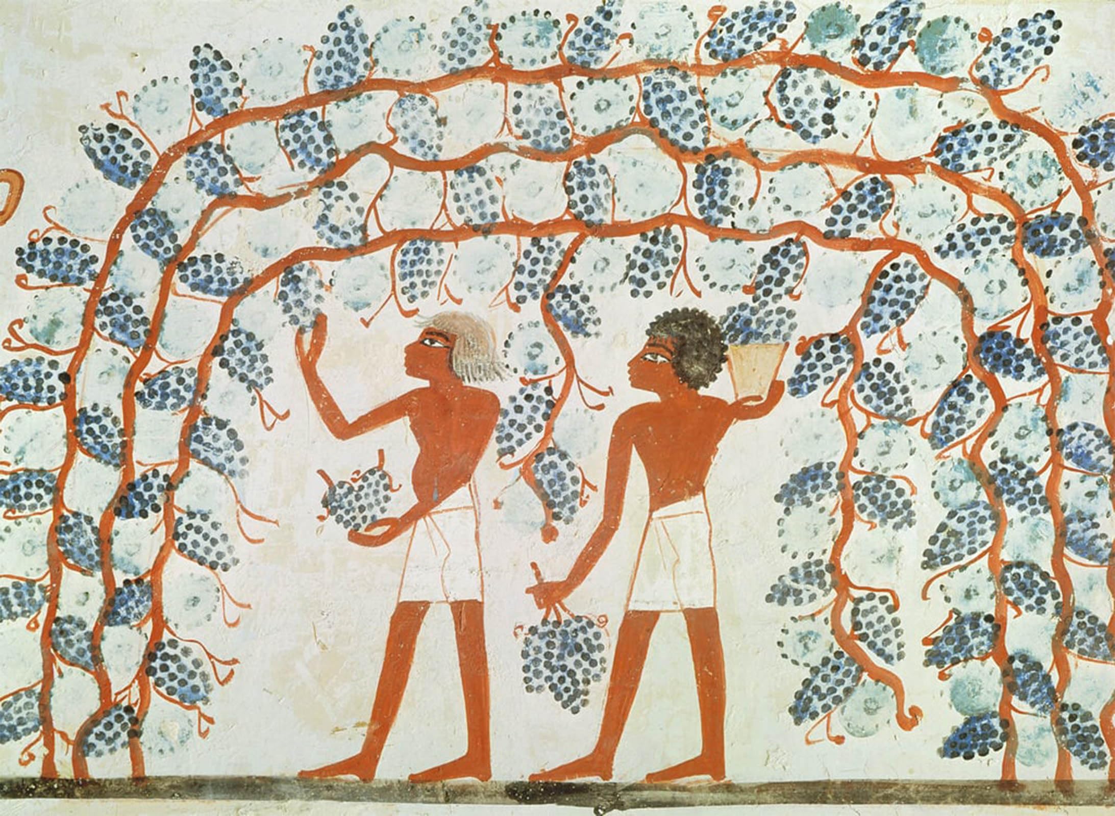 POSTERIIk Vintage Art Print Images Pictures Print Picking Grapes by Famous Artist Modern Colour Posters for Office Home Decor 60x90cm