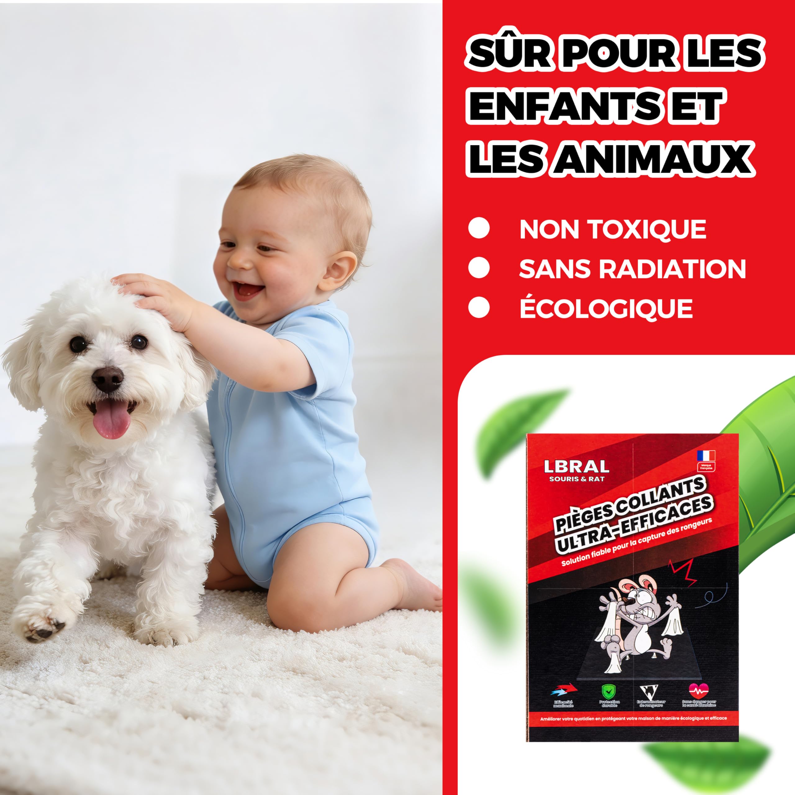Lot de 8 Pièges à Souris Collants Ultra-Adhésifs – Plaques de Glu Extra-Fortes & Non Toxiques – Utilisation Intérieure/Extérieure – Facile à Installer