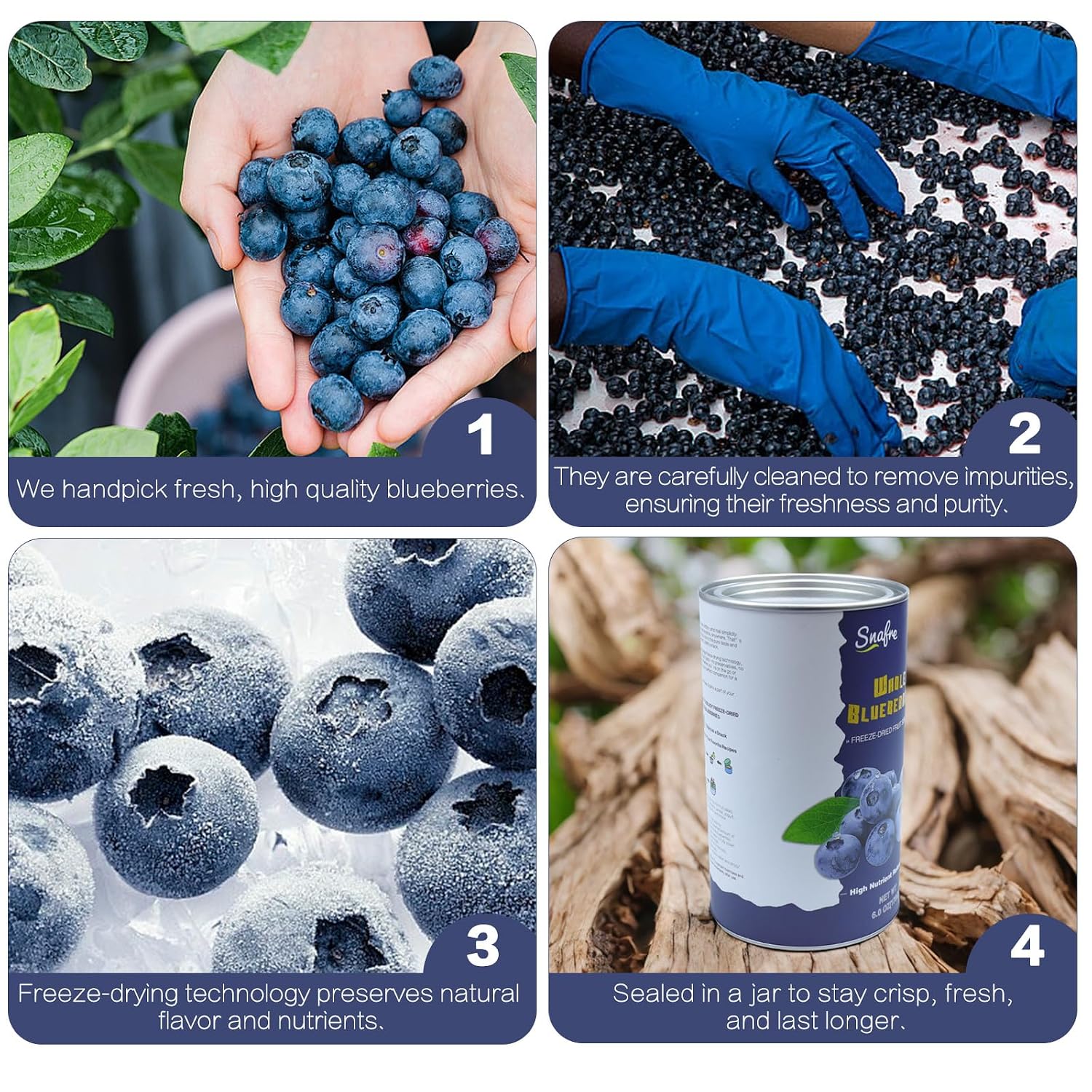 Freeze Dried Blueberries, 6OZ/170G Whole Frozen Blueberries, Freeze Dried Fruit No Added Sugar, Natural Snack, Jar Packaging Design