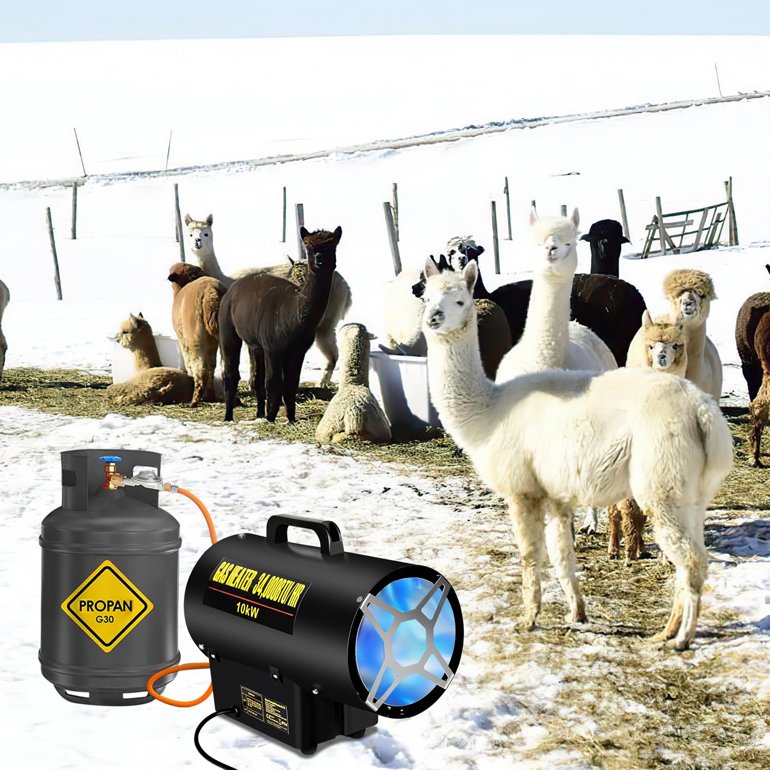 Ikodm Gasheizung für innenräume, 10KW 220V Gasheizgerät Gasheizer Gasheizgebläse Propangasheizgebläse 320 m³/h Luftdurchsatz, mit 1,2m Gasschlauch und 700 mbar Druckminderventil