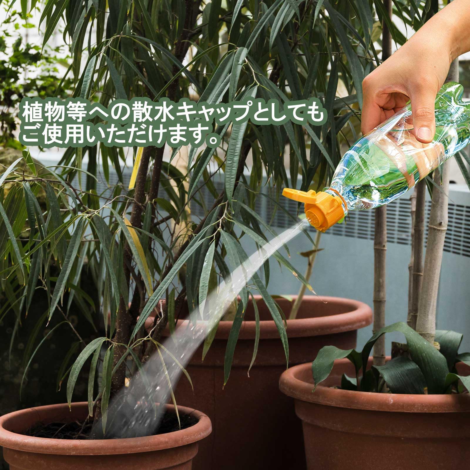コンパクト水分補給器 ホワイト/グリーン Amazon.co.jp: 伊勢藤(ISETO) ペットボトル用キャップ おでかけ