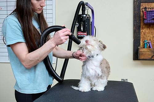 Miniatura 6 de Metro Vacuum 114-141273 (B-3) Metro Air Force Steel Blaster Pet Dryer con cable de 12 pies, 4.0 caballos de fuerza, todo, mezcla