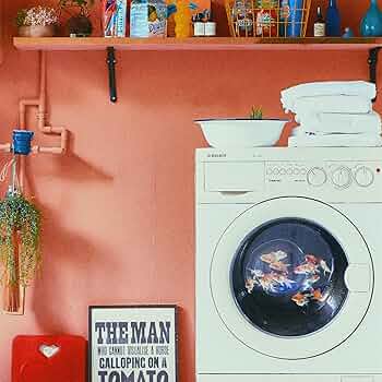 新品　レコード　ラッキーキリマンジャロ エモめの夏 ラッキリ　ハウス　7 jacket.php?id=TBVC0001